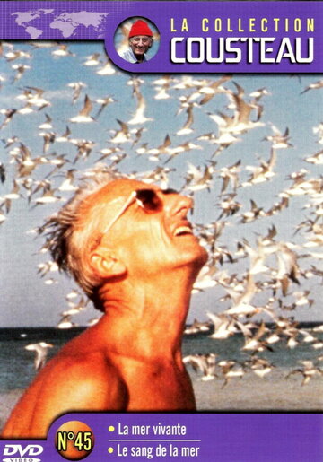 The Cousteau Odyssey