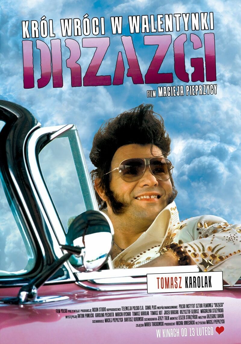 Drzazgi