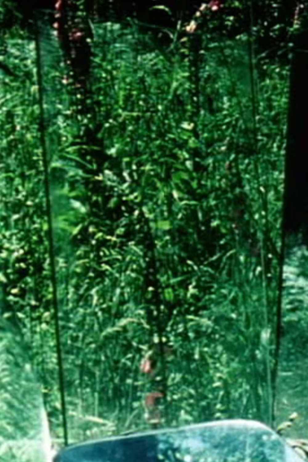 Peripeteia II
