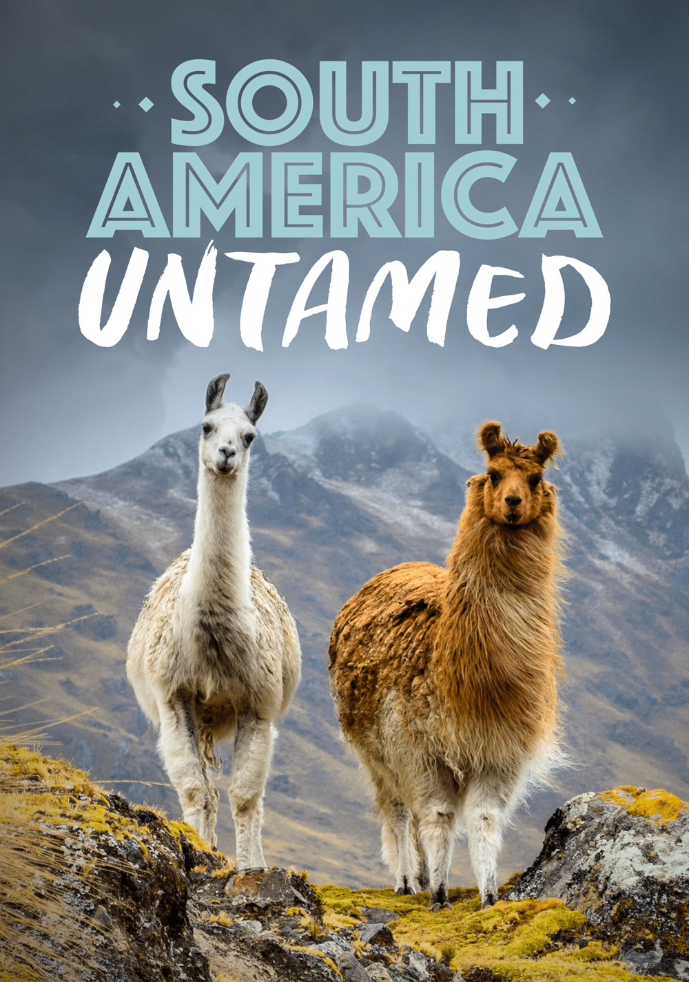South America Untamed