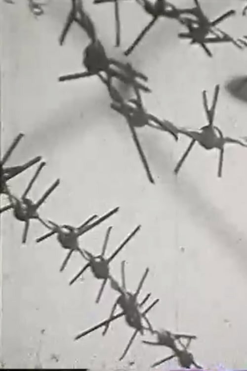 Диссонанс