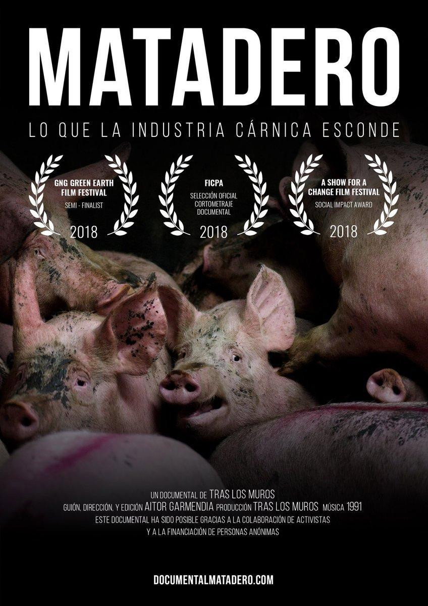 Matadero: Lo Que La Industria Carnica Esconde