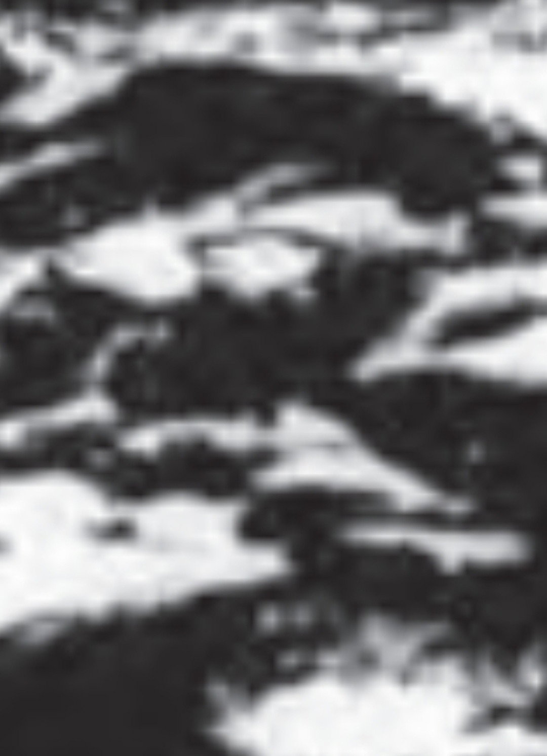 Burren