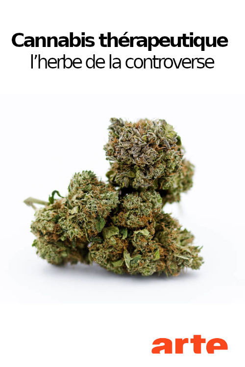 Cannabis thérapeutique, l’herbe de la controverse