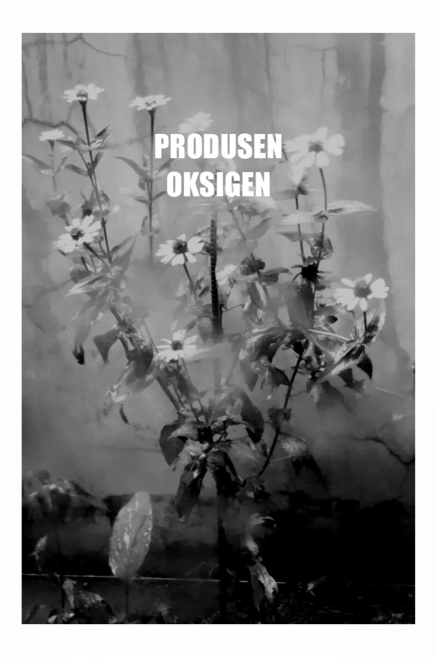 Produsen Oksigen