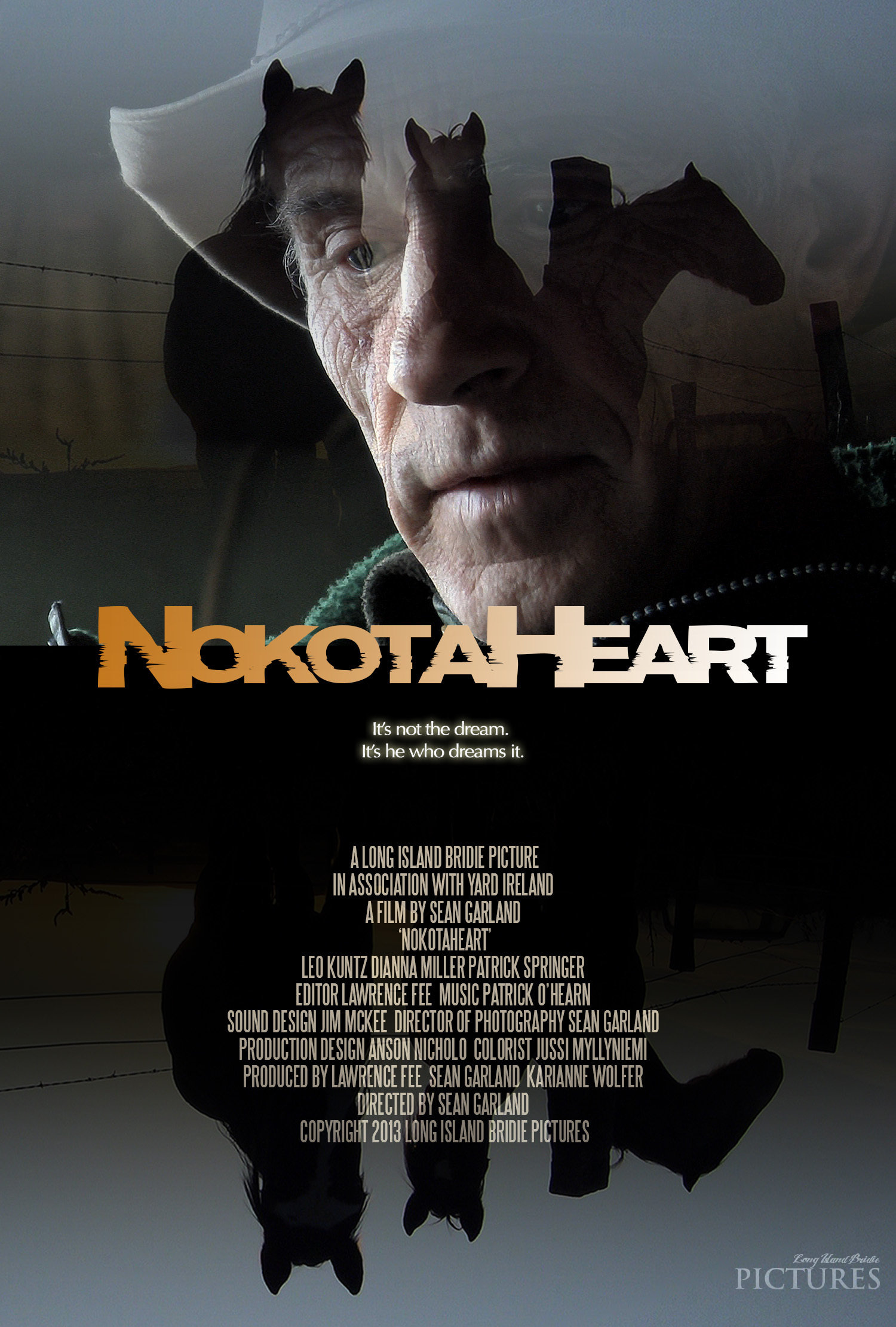 NokotaHeart