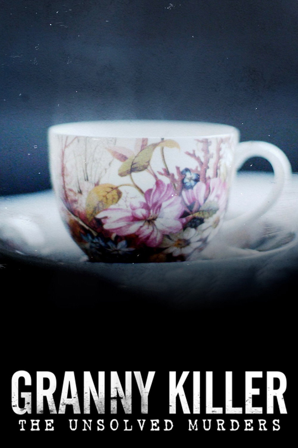 The Granny Killer: The Unsolved Murders