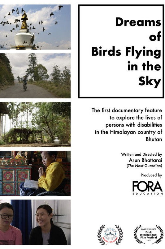 Dreams of Birds Flying in the Sky