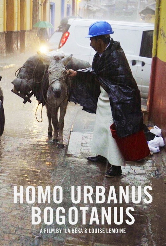 Homo Urbanus Bogotanus