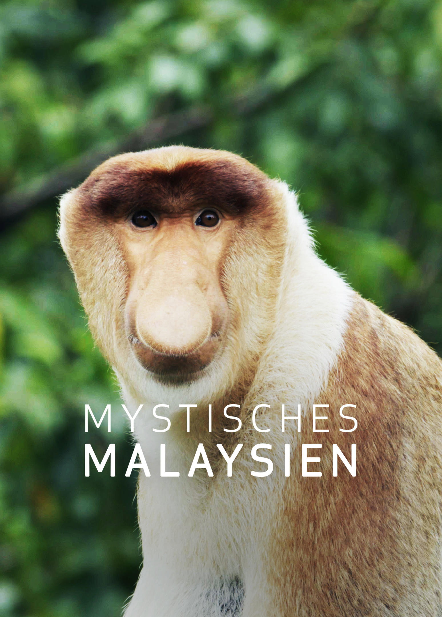Mystisches Malaysien