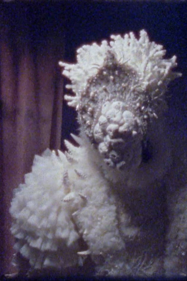 Coral