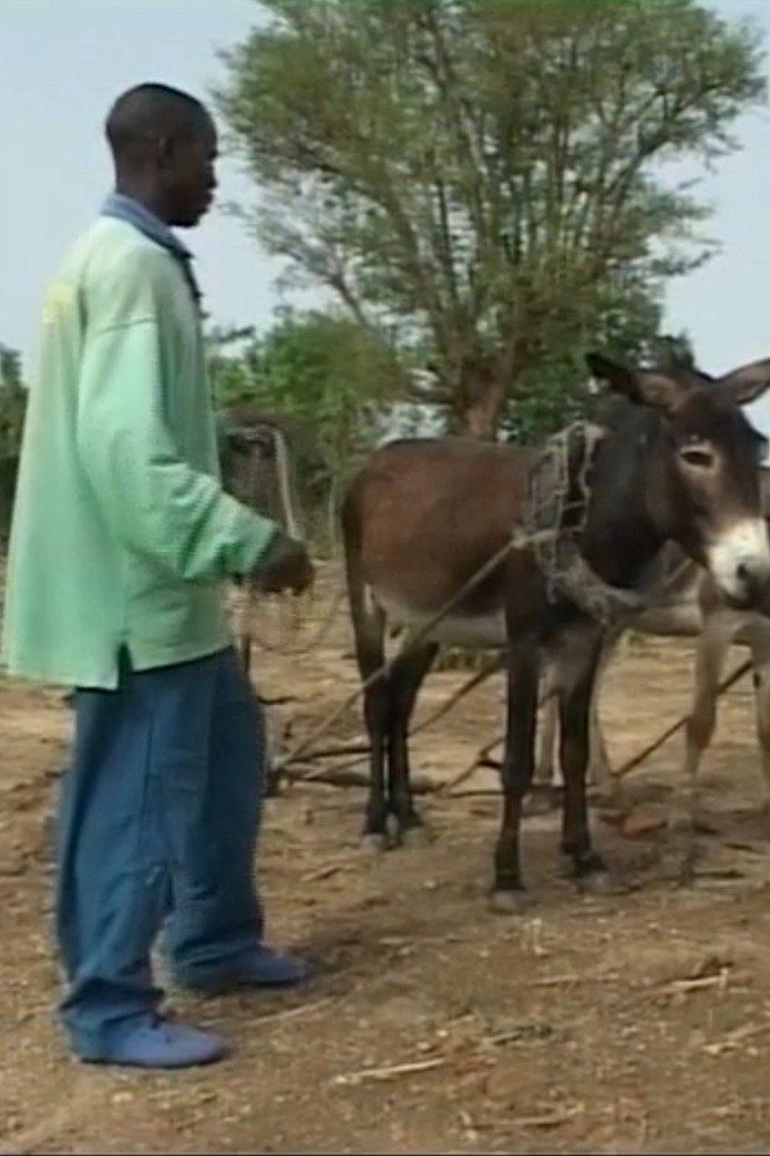 Zavra: A Passer in Kapsiki Land