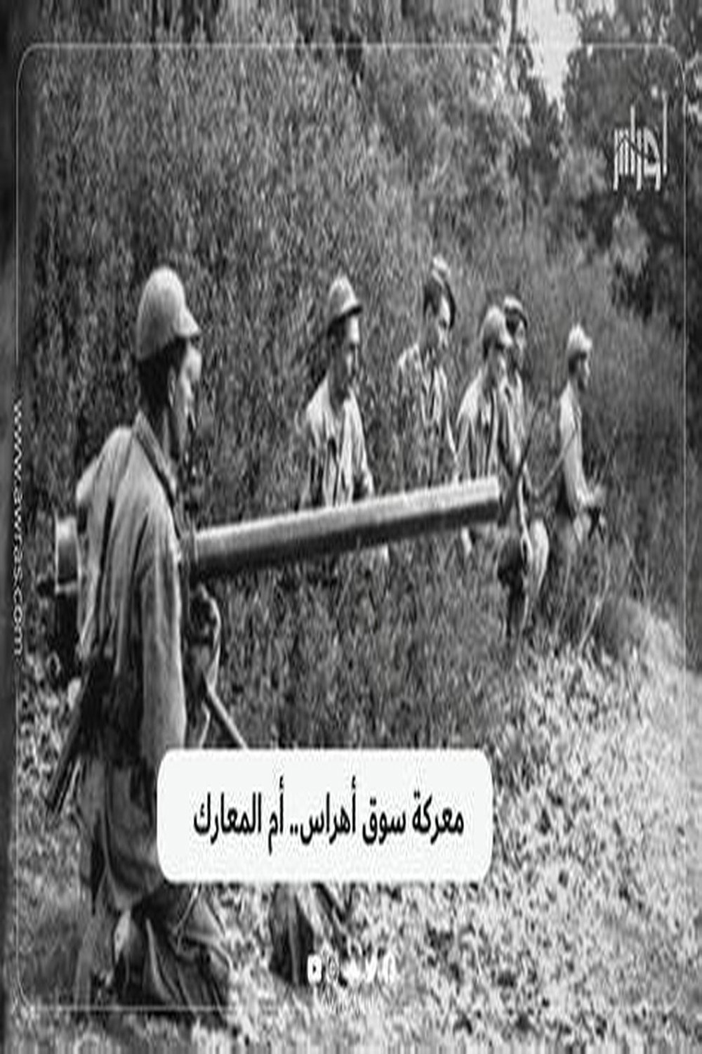 المواجن معركة سوق اهراس