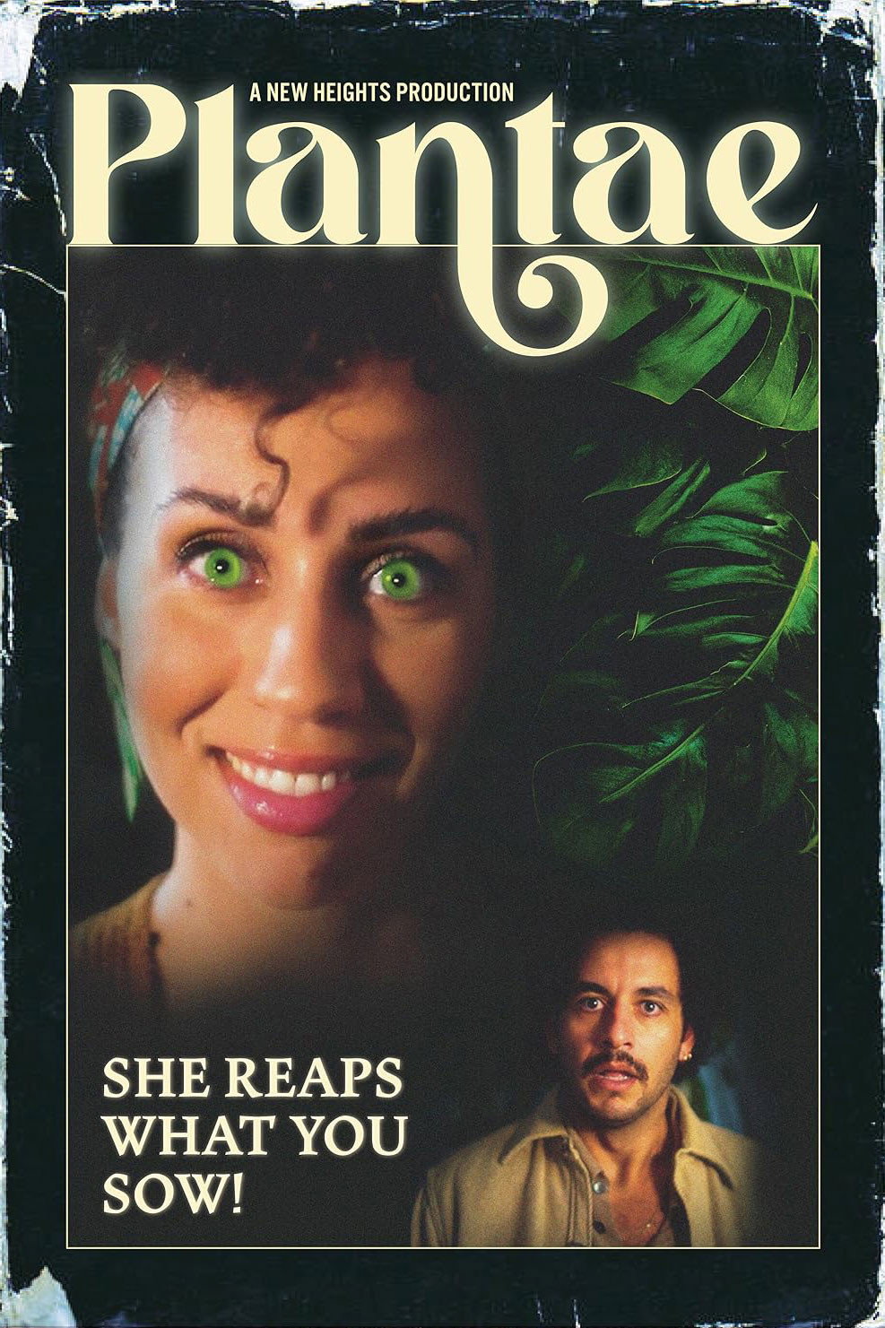 Plantae