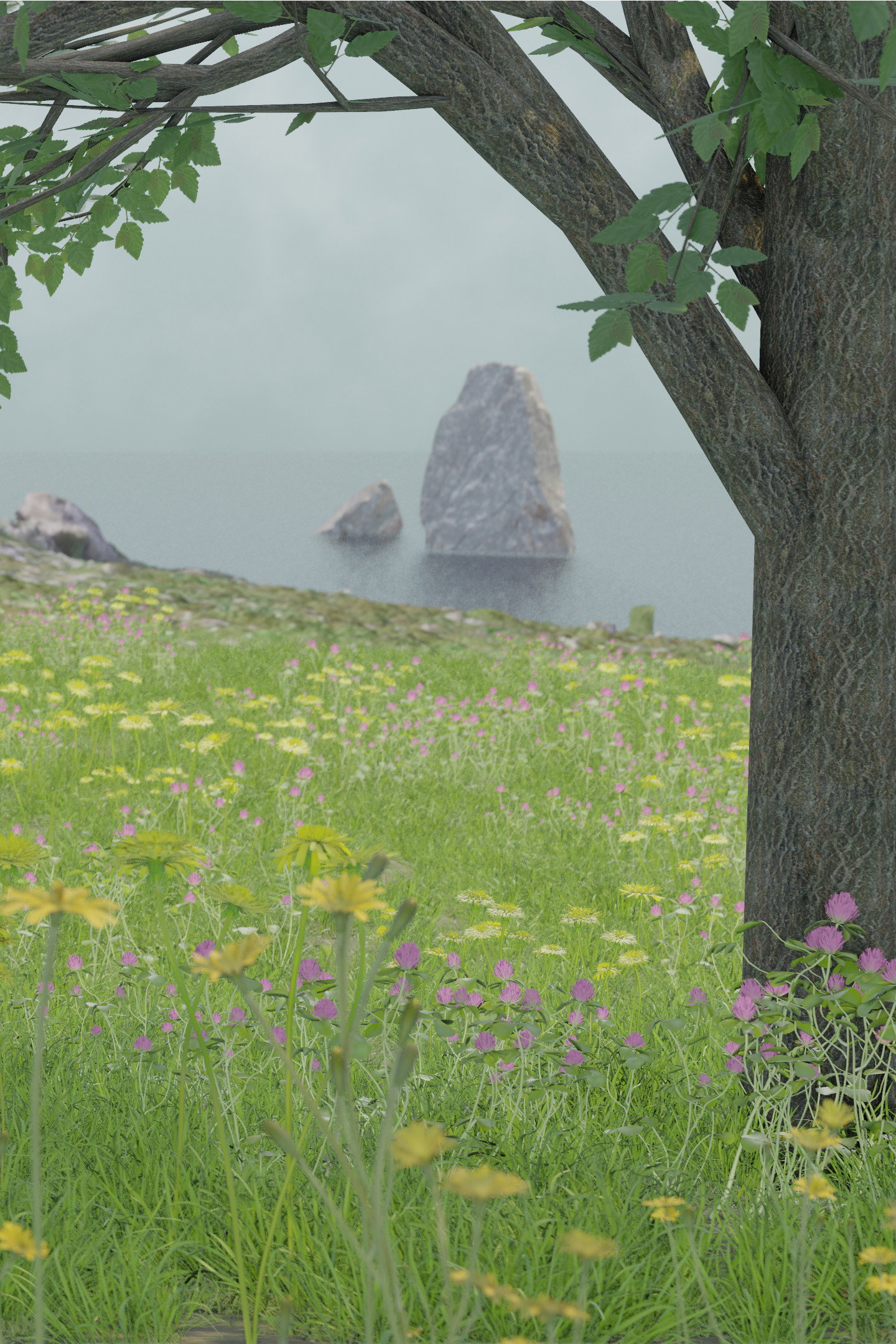 Viewport Weather