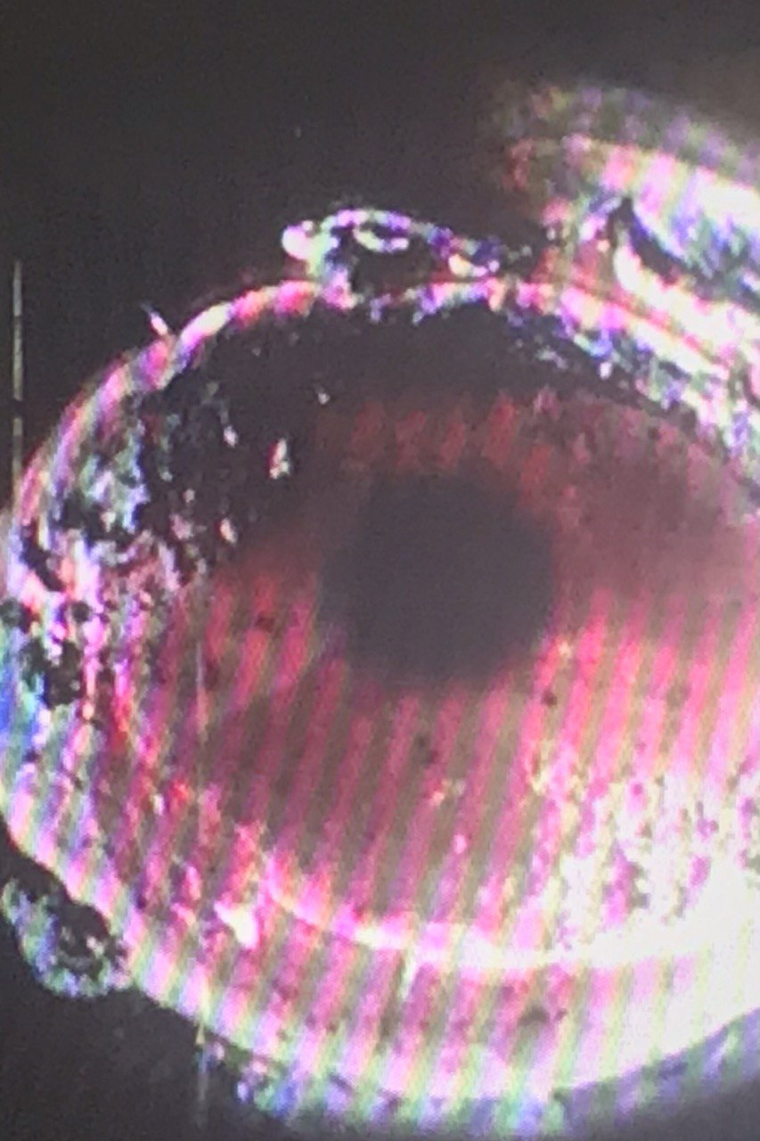 Moon-CCTV