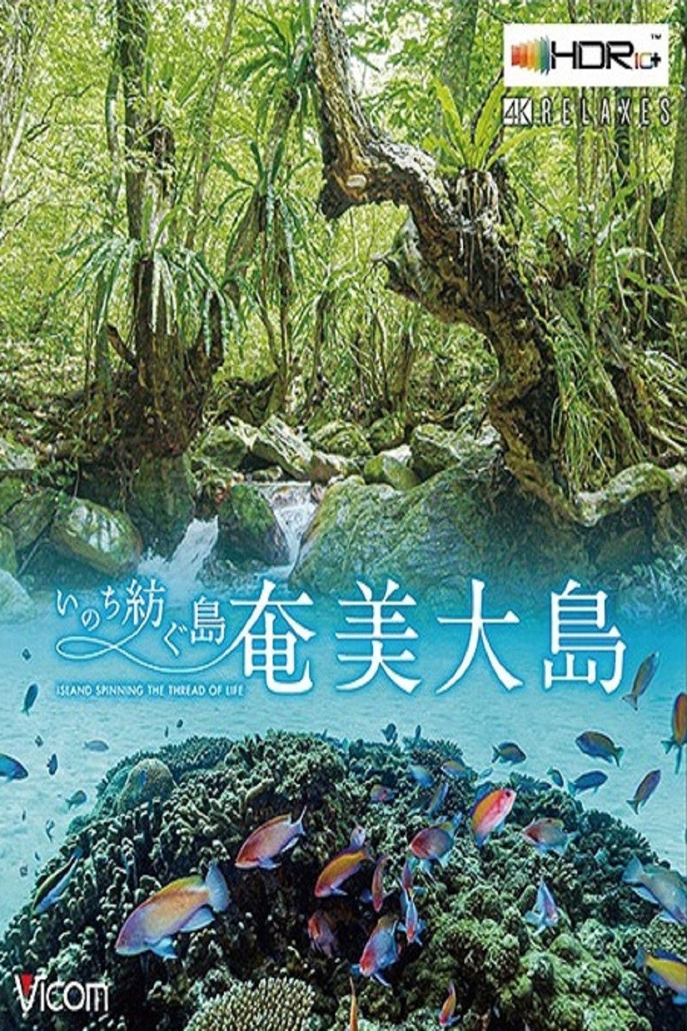 奄美大島 ~いのち紡ぐ島