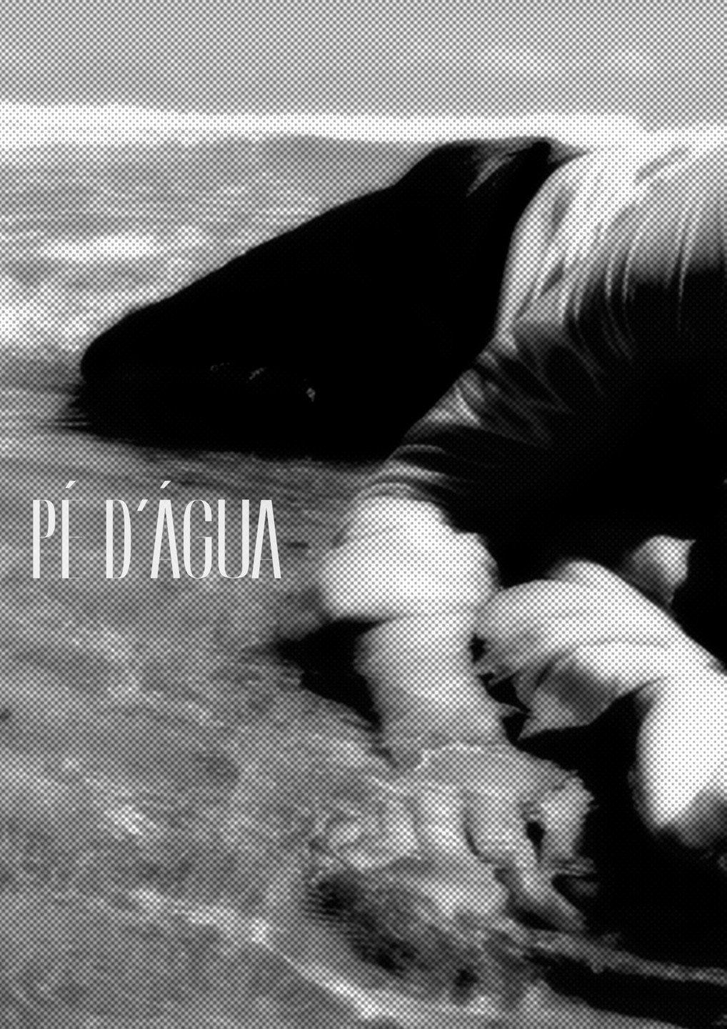 Pé d'Água