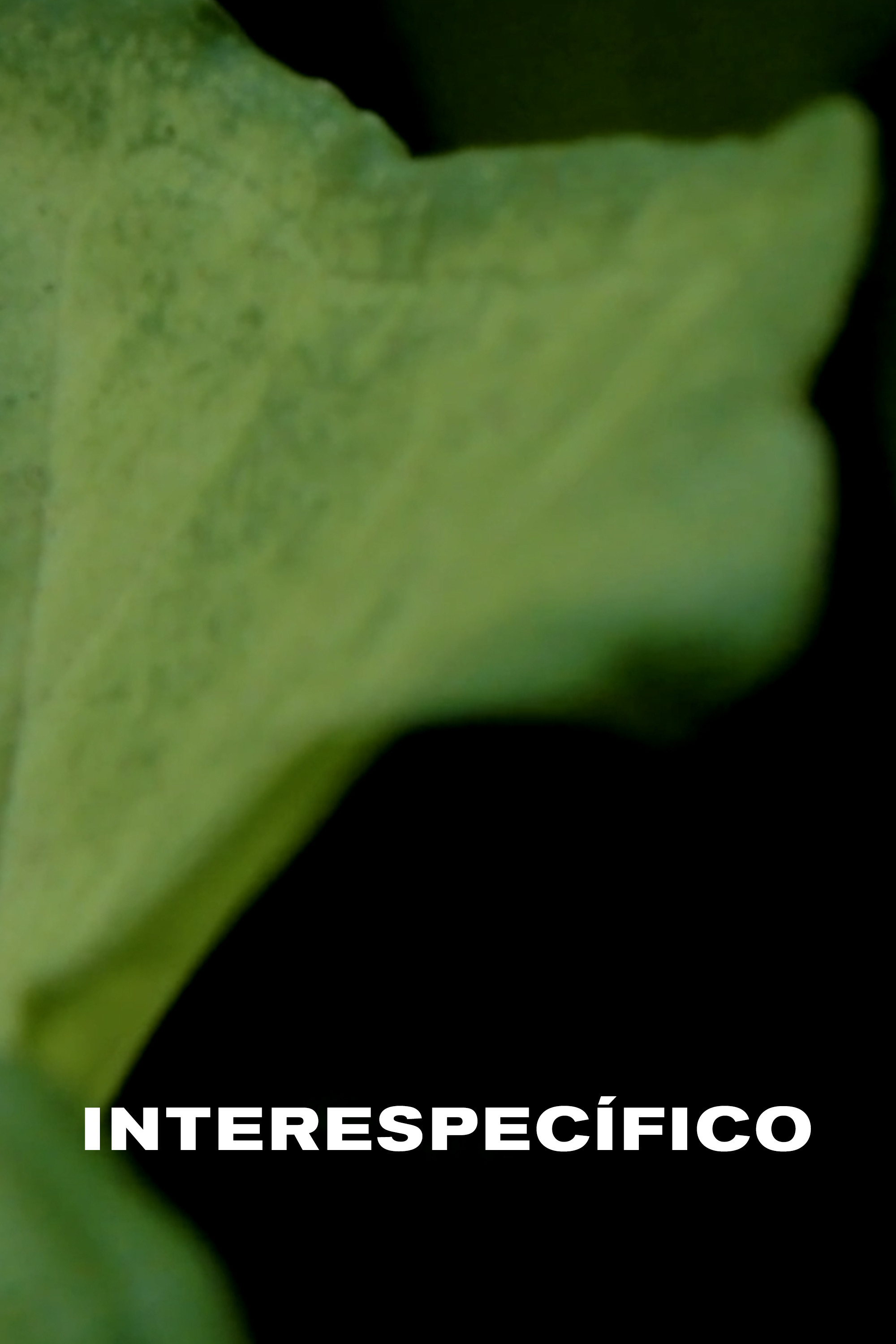 Interespecífico