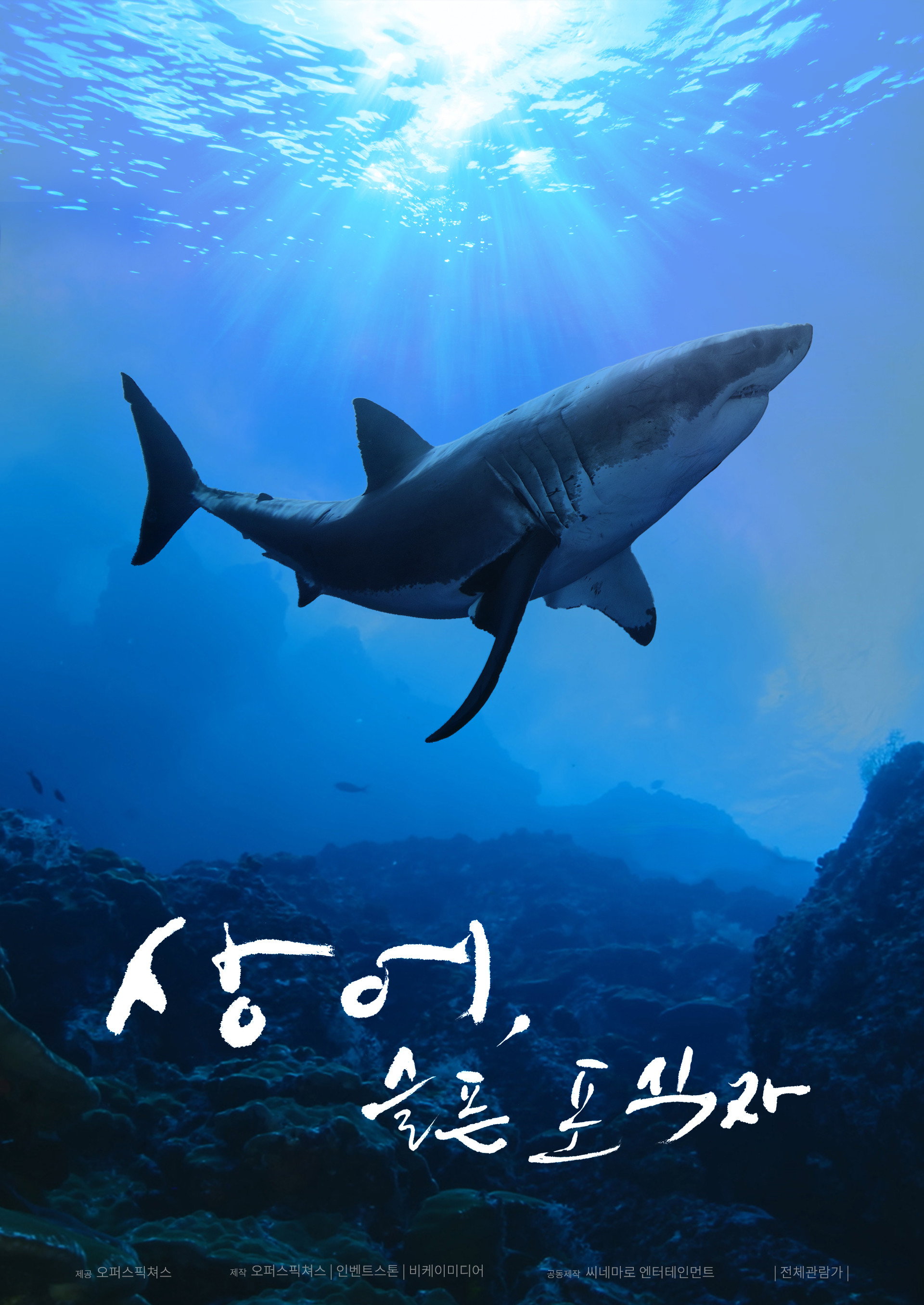 상어, 슬픈 포식자