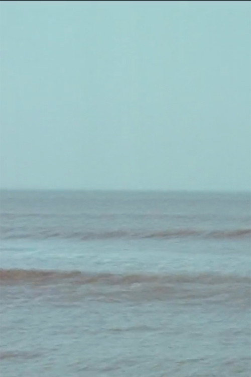 Vibrating Horizon