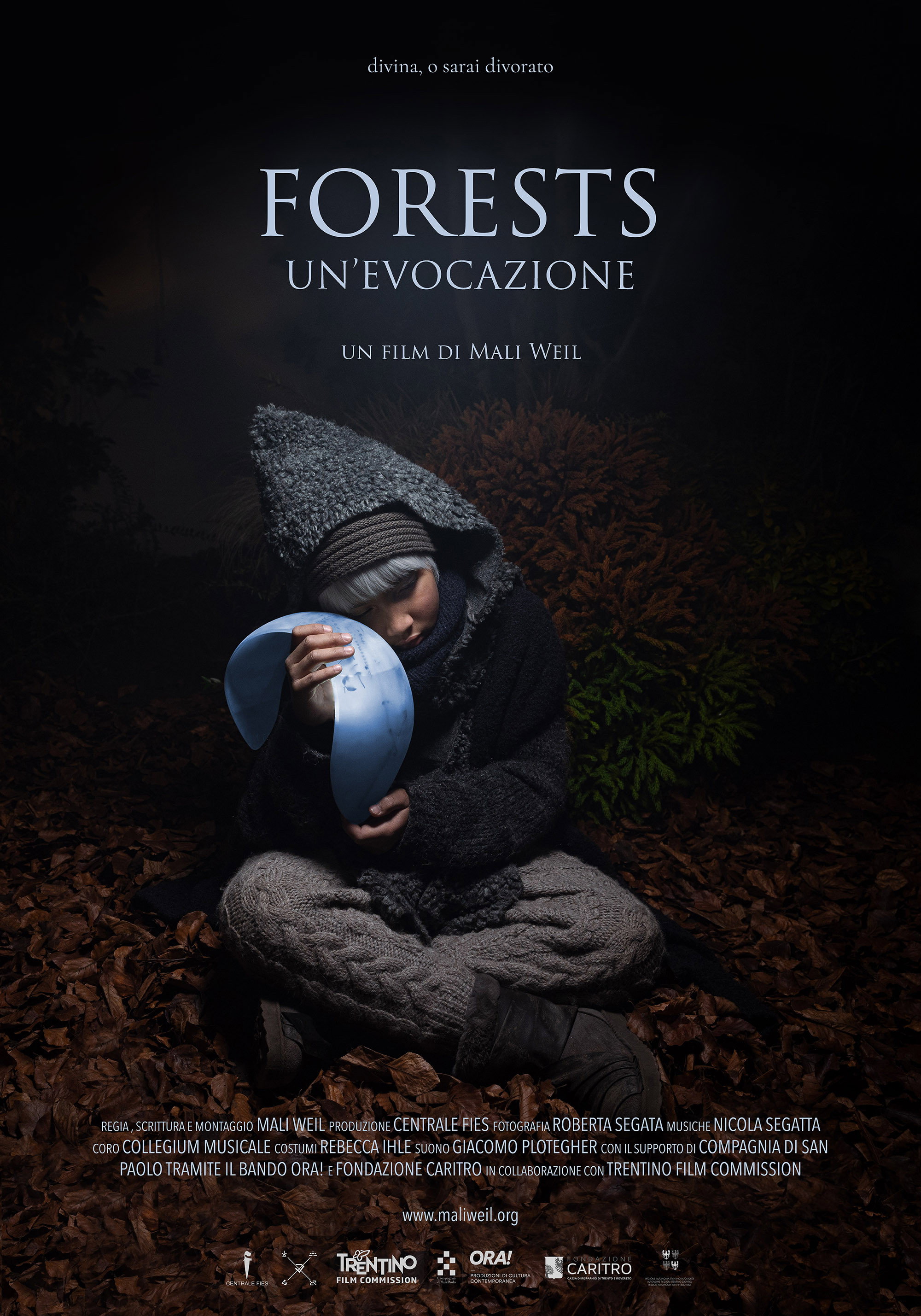 Forests - Un'evocazione