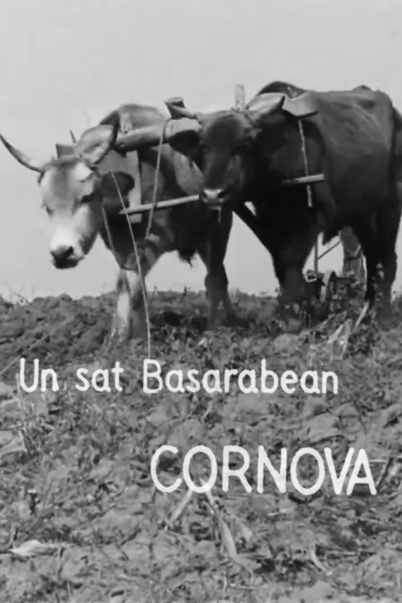 Un sat basarabean, Cornova