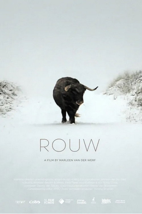 Rouw