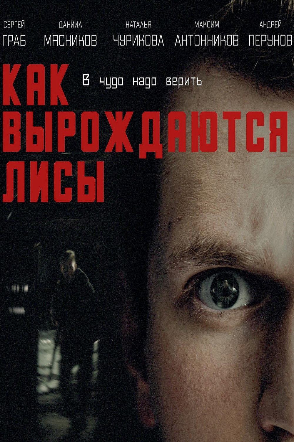 Как вырождаются лисы