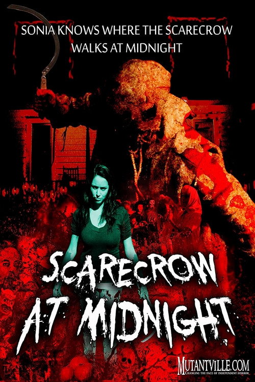 Scarecrow at Midnight