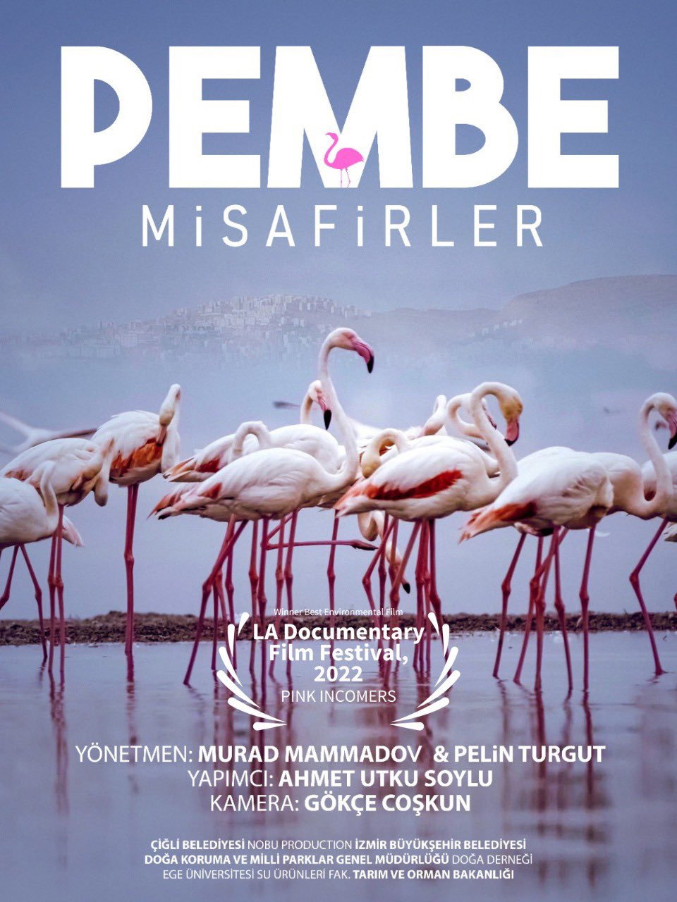Pembe Misafirler