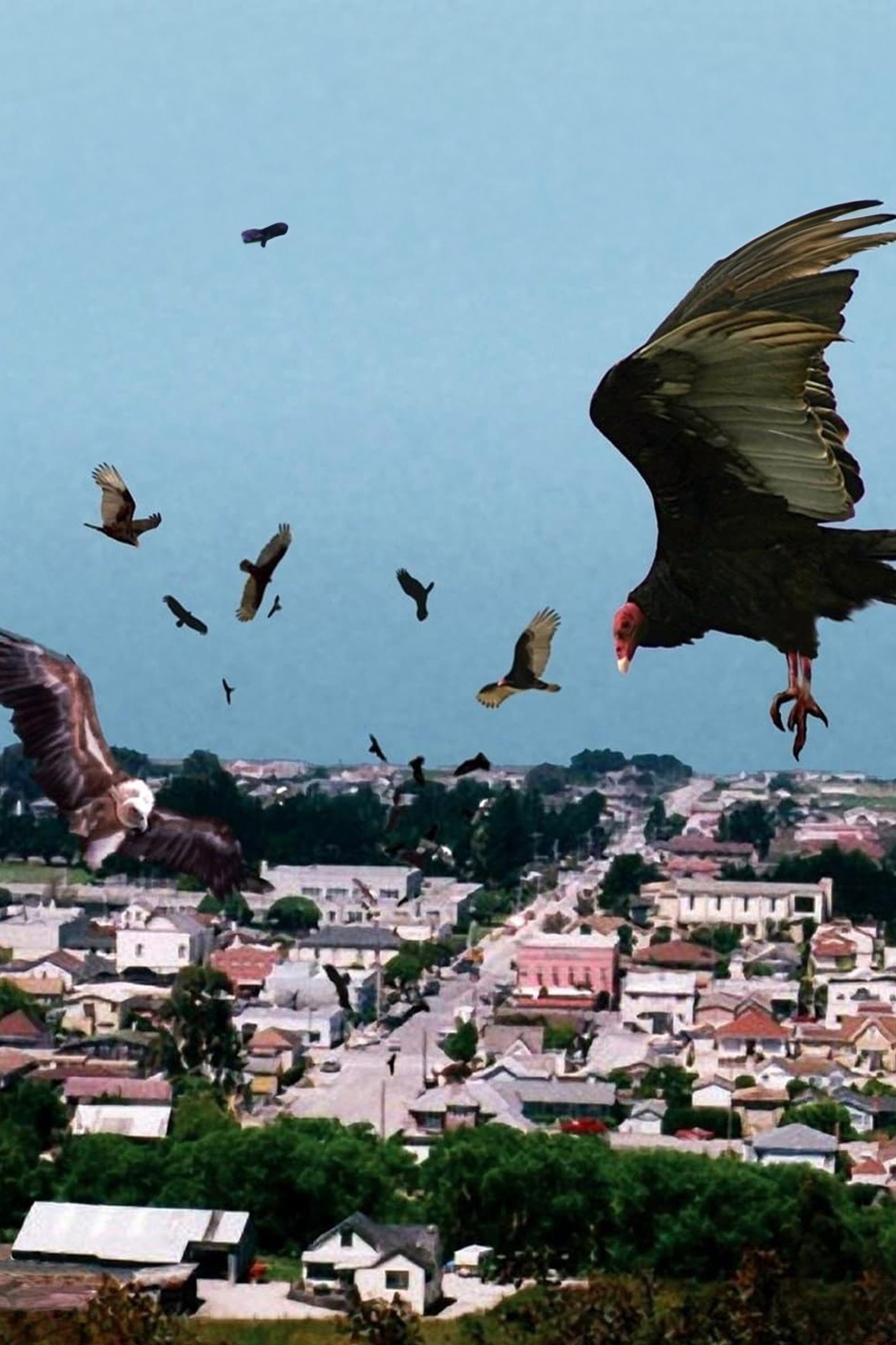 Birdemic - Shock and Terror