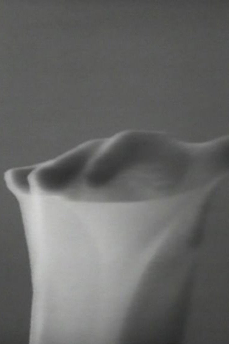 Movements in Light