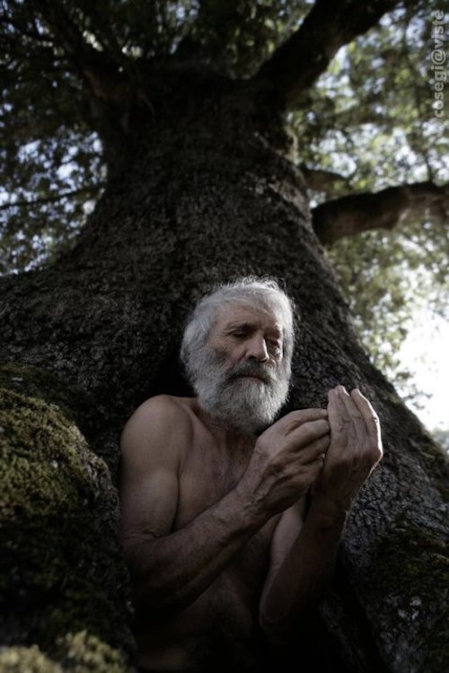 L'Uomo degli Alberi