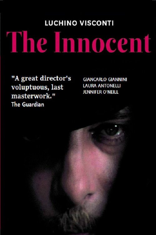 The Innocent