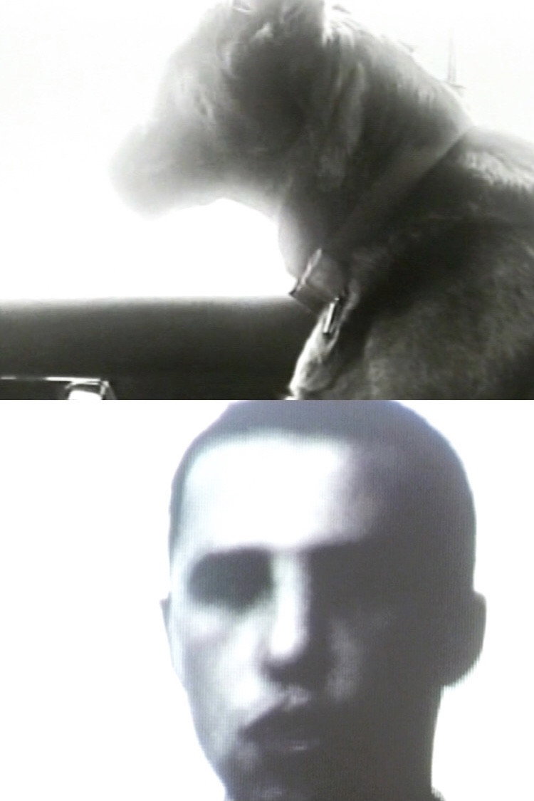 B. Stéphane