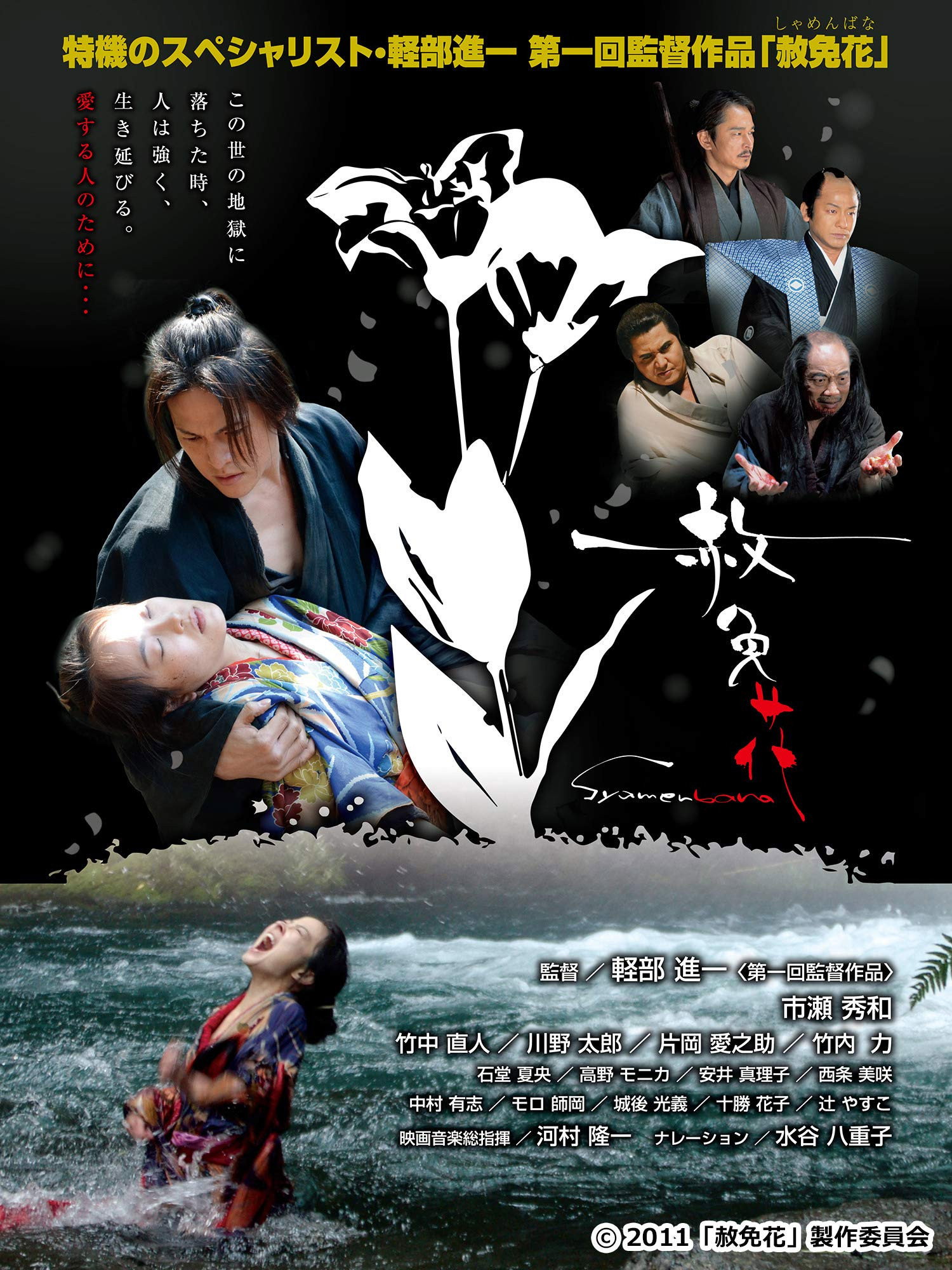 赦免花