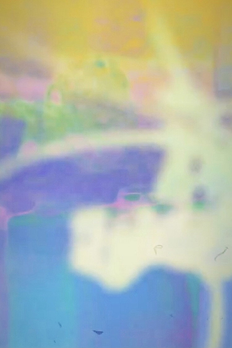 Luciano Pea: Video Portrait