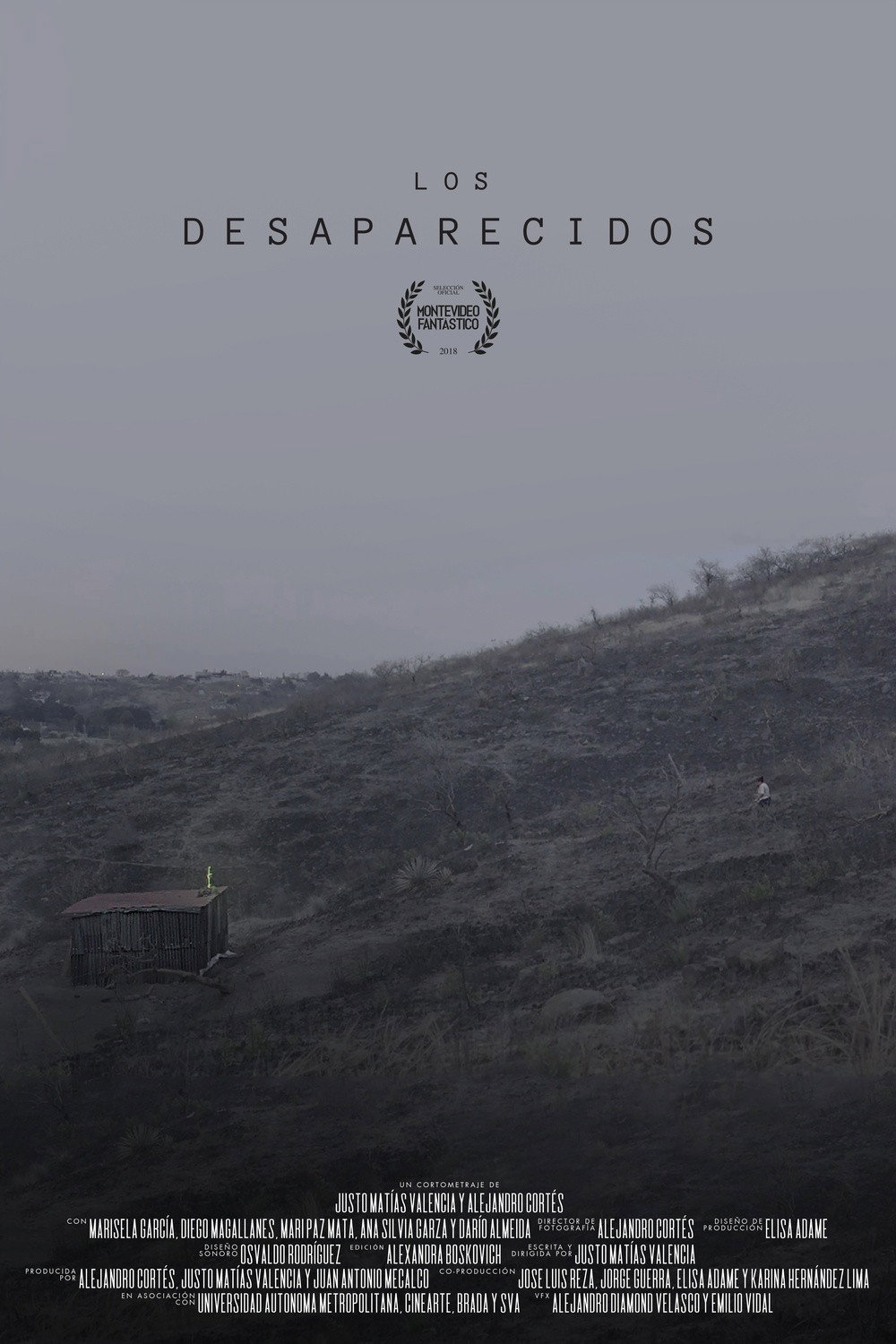 Los desaparecidos