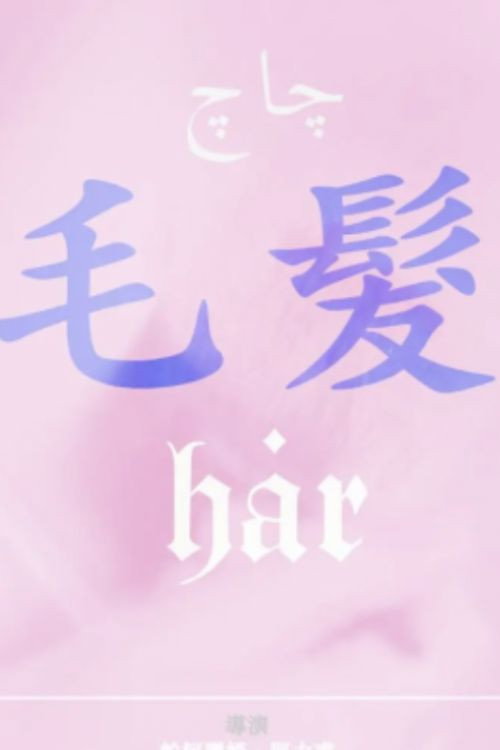 毛发