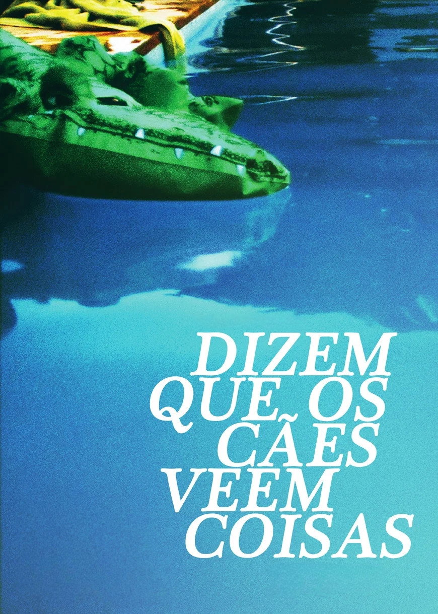 Dizem que os cães veem coisas