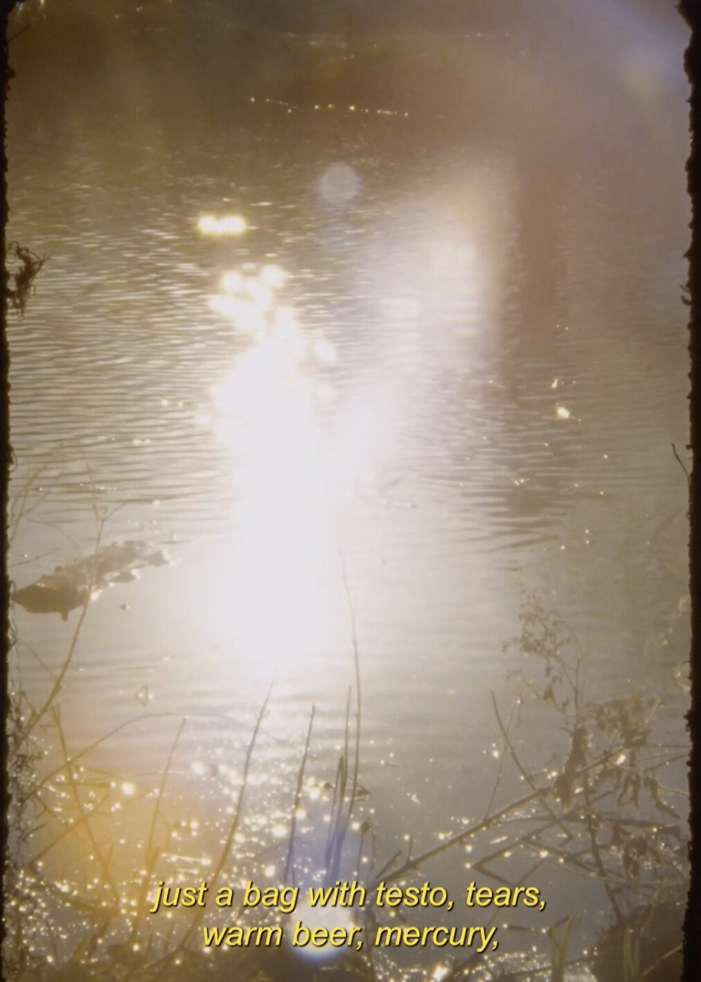 I Might Go and Throw My Phone Into The Lake, Yeah