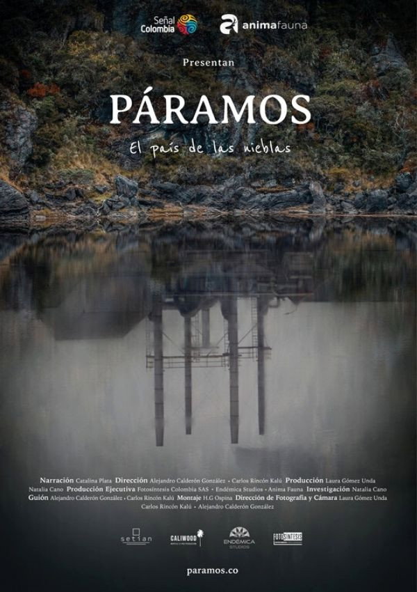 Páramos, el país de las nieblas