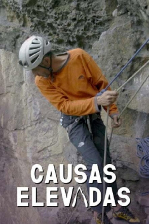 Causas Elevadas