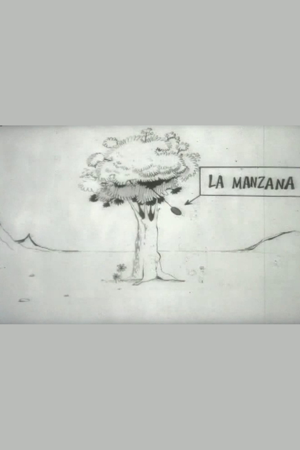 La Manzana