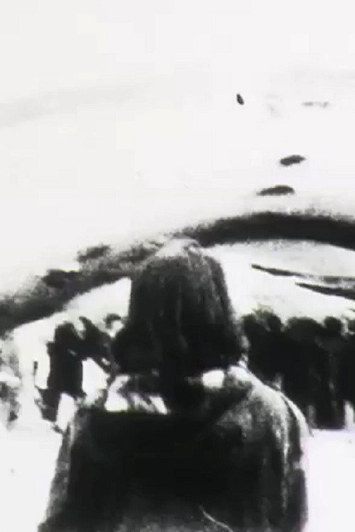 Frame Walk