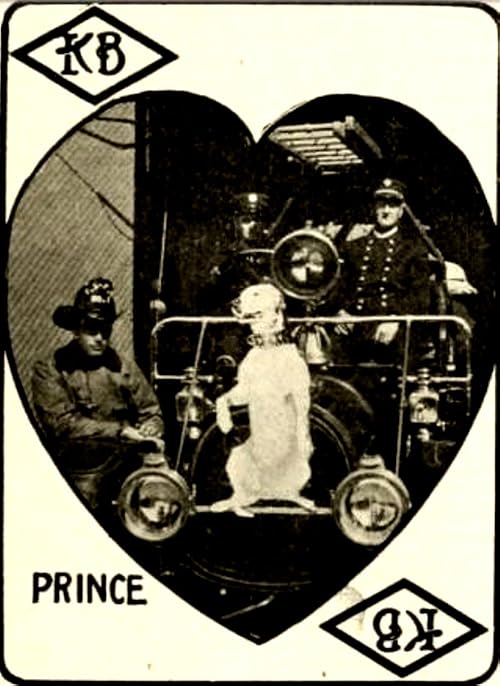 Prince