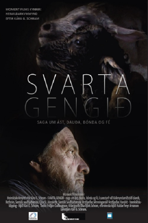 Svarta gengið - saga um ást, dauða, bónda og fé