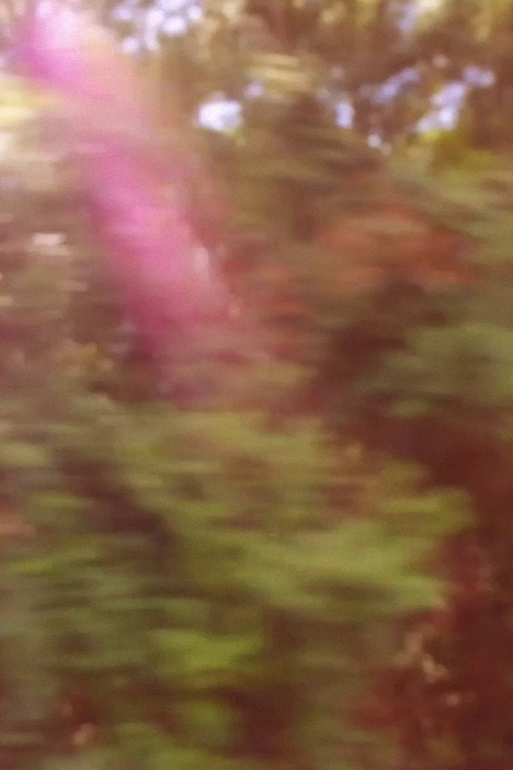 Moç