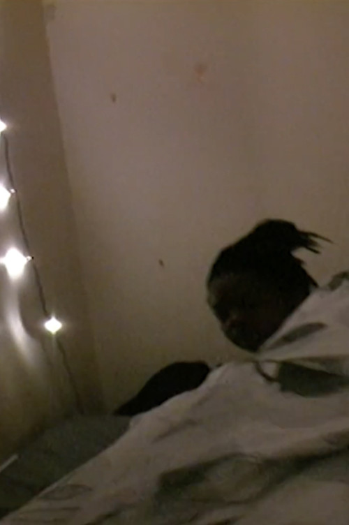 Capture 03 01 18